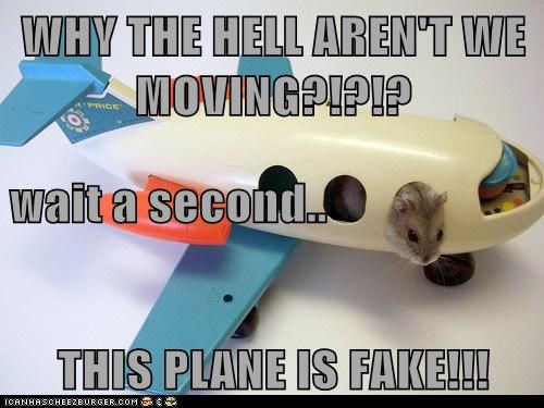 WHY THE HELL AREN'T WE MOVING?!?!? wait a second.. THIS PLANE IS FAKE!!!