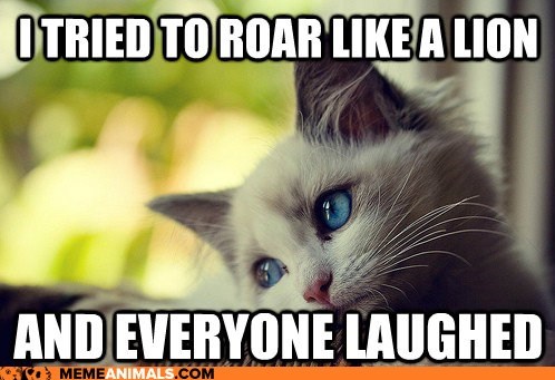 Animal Memes: First World Cat Problems - Just Can't Wait to Be King