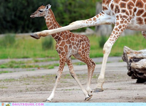 Squee Spree: Get Knobby!