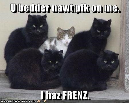 U bedder nawt pik on me.  I haz FRENZ.