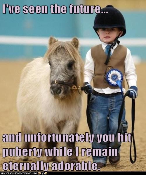 Animal Capshunz: The Perks of Being a Mini-Horse