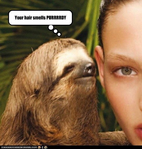 Animal Capshunz: Creepy Come-Ons Sloth