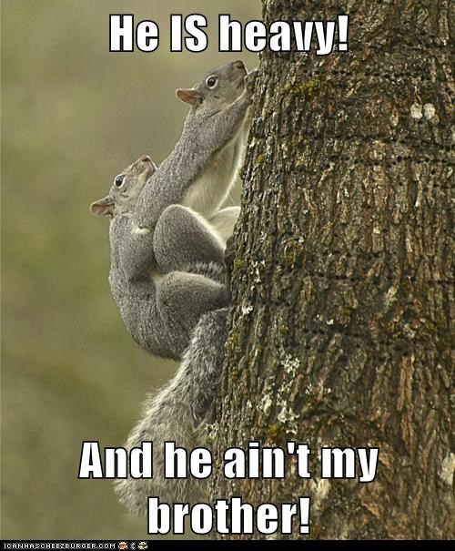 Supporting Squirrels