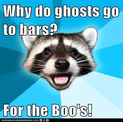 Animal Memes: Lame Pun Coon - Booourbon