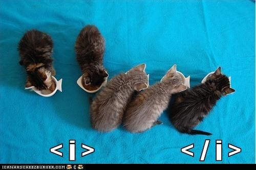 Classic Lolcat