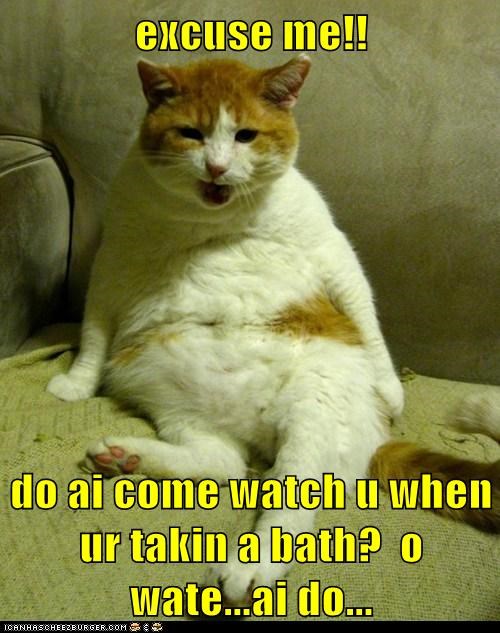 excuse me!!  