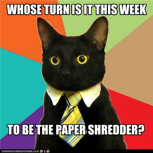 Animal Memes: Business Cat - That's a Question for Feline Resources