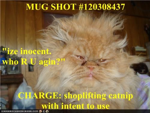 MUG SHOT #120308437 "ize inocent.                                        who R U agin?" CHARGE: shoplifting catnip                with intent to use