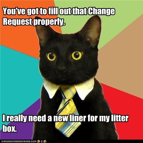 Business Cat Tells You What He Really Thinks