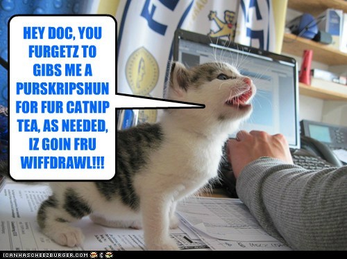 HEY DOC, YOU FURGETZ TO GIBS ME A PURSKRIPSHUN FOR FUR CATNIP TEA, AS NEEDED, IZ GOIN FRU WIFFDRAWL!!!