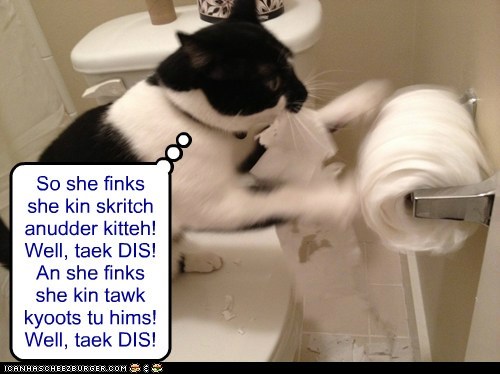 An taek DIS an DIS an DIS!