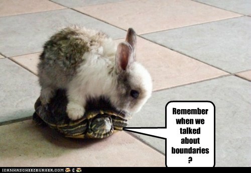 Animal Capshunz: Some Boundaries Cannot Be Uncrossed
