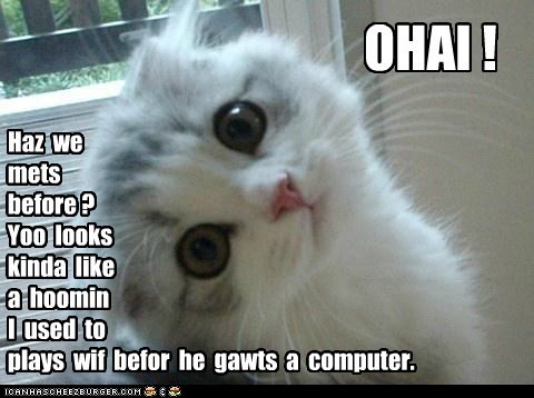 Even the youngest kittehs can master sarcasm.