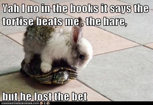Yah I no in the books it says the tortise beats me , the hare,  but he lost the bet
