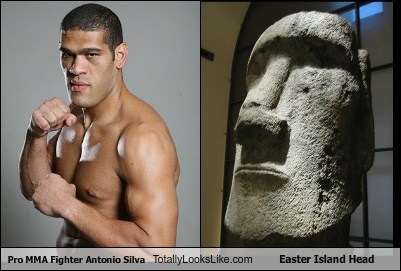 Pro MMA Fighter Antonio Silva Totally Looks Like Easter Island Head