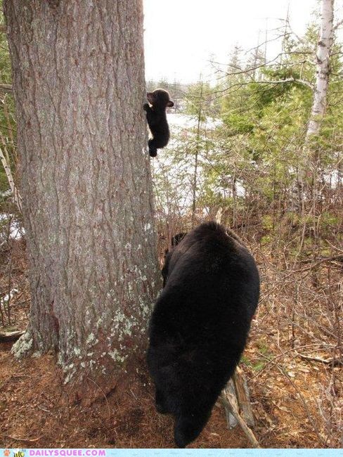 Daily Squee: Go Little Guy!
