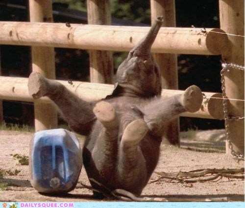 Daily Squee: I'm Cute and I Know It!