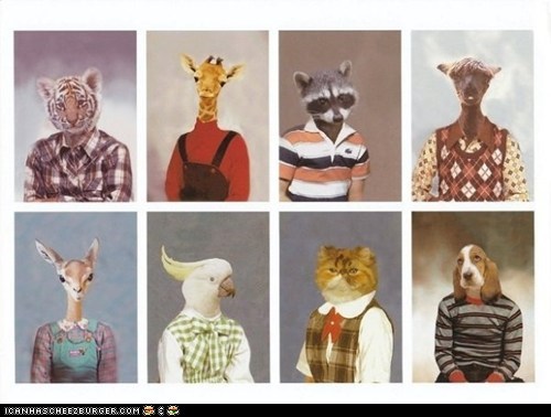 Animal School Pictures