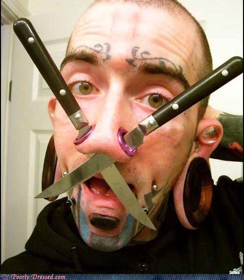 Has Anyone Seen My Kitchen Knives?
