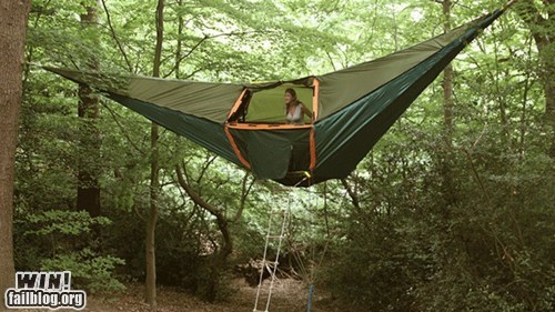 Tree Tent WIN