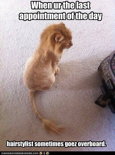 Lolcats: I Doan Liek Dis Cuttin Edje ob Fashun Fing!