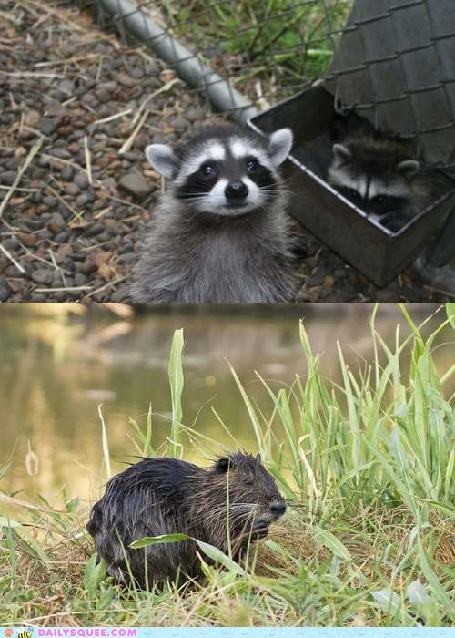 Squee Spree: Who You Got?