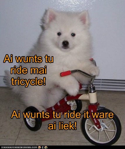 Cyoot Puppy ob teh Day: Ai wunts tu ride mai trike!