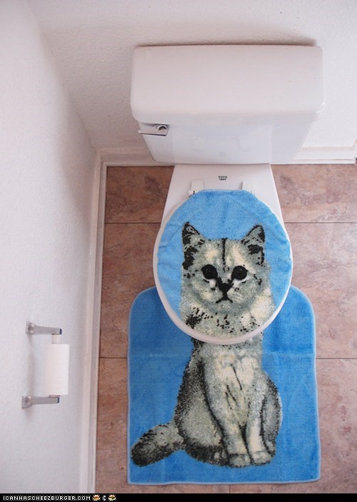 Add a Touch of Litter Box to Your Toilet!