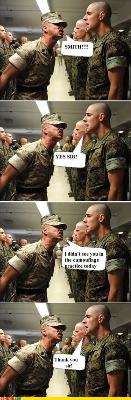 Camouflage Expert