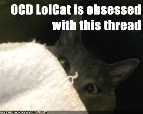 OCD LolCat