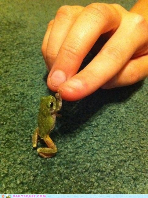 High Five, Bro!