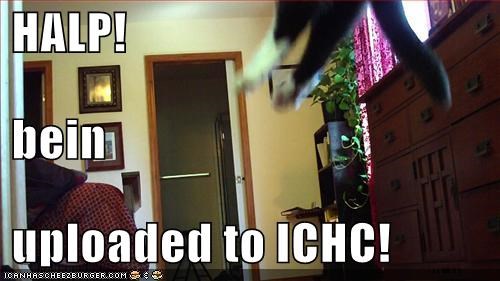 HALP!  bein  uploaded to ICHC!