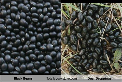 Black Beans Totally Looks Like Deer Droppings