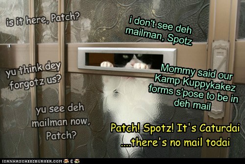 Spotz & Patch R Waitin For Their Kamp Kuppykakez Forms
