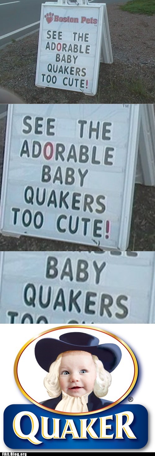 Baby Ducks FAIL