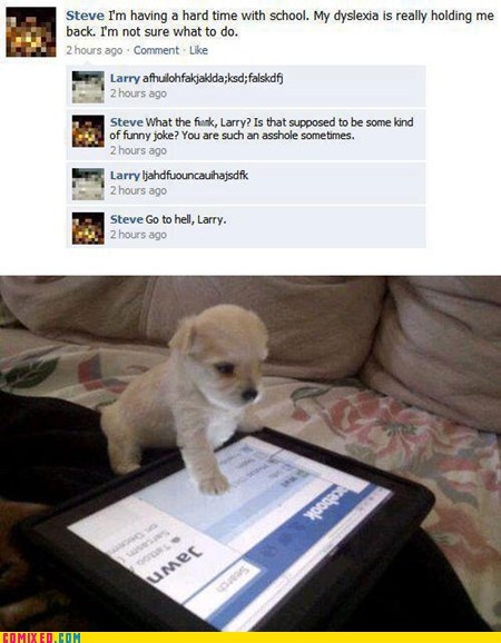 Why Not to Give Your Tablet to Your Pet