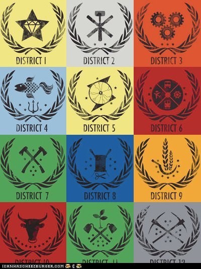 The Districts