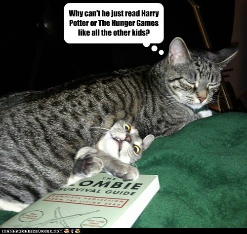 Lolcats: Why can't you just read Harry Potter