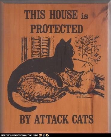 The Best Kind of Home Security