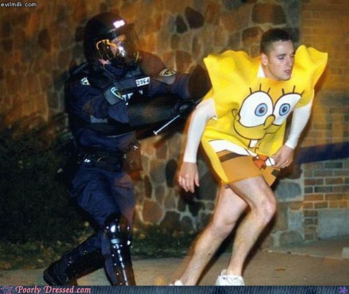 Bikini Bottom's Finest