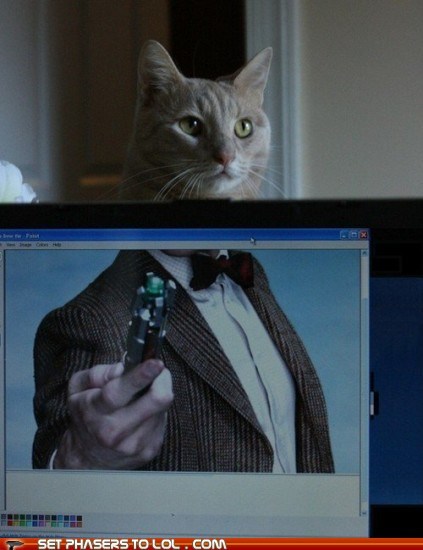 The Doctor's Best Regeneration