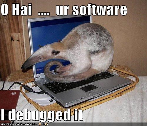 O Hai  ....  ur software  I debugged it
