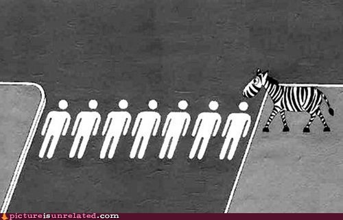 Zebra Crossing