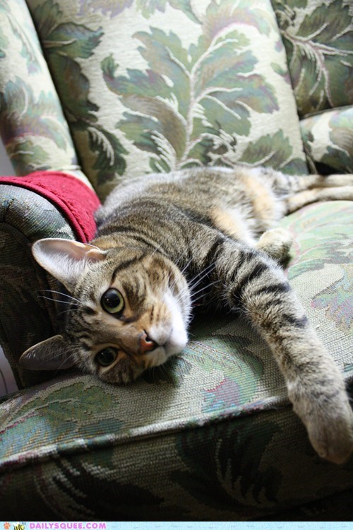 Reader Squees: Lazy Days