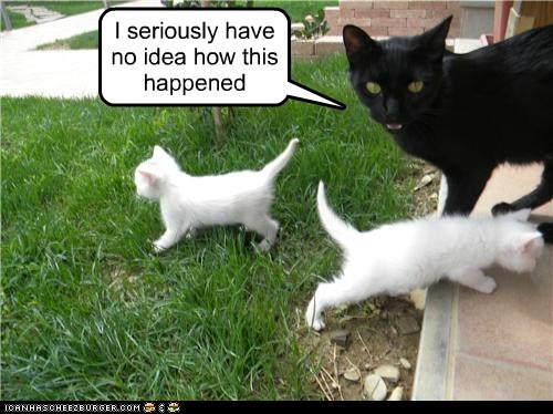 Paternity Tests