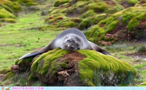 Serious Nap is Serious