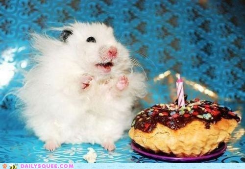 Daily Squee: It Ar Mai Birfday?!