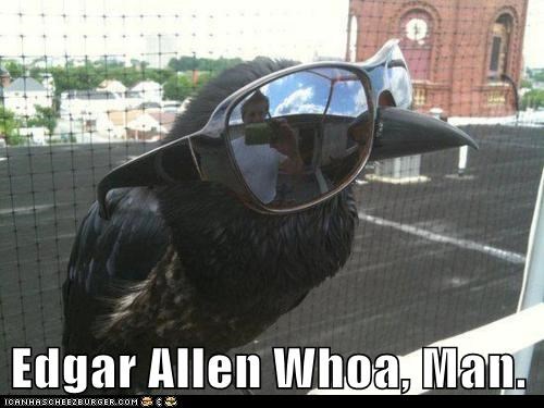 Have You Ever Read Poe, Man? I Mean Really Read Poe?