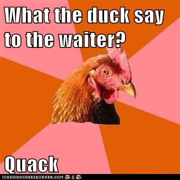 Anti-Joke Chicken: Because You Know, It's a Duck