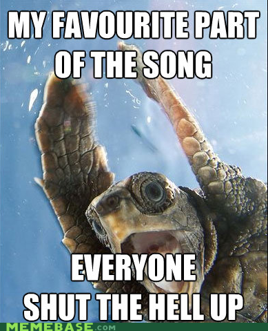 Stop Everything, Turtle Wants To Dance